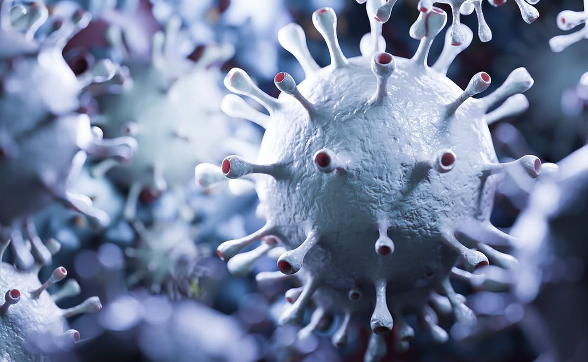 Virus