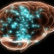 Una buena reserva cognitiva mantiene el cerebro sano pasados los 90 anos 6430 620x368